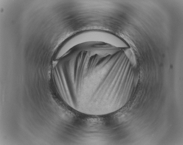 X0000088830160200707051431