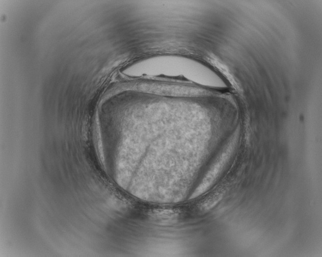 X0000088830161200707051431