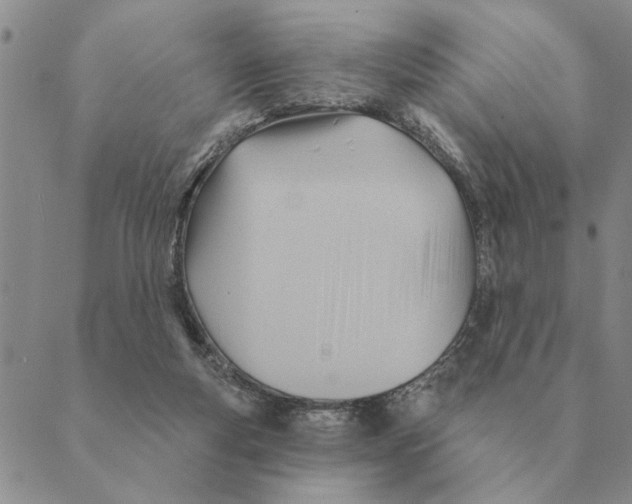 X0000088830163200707051431