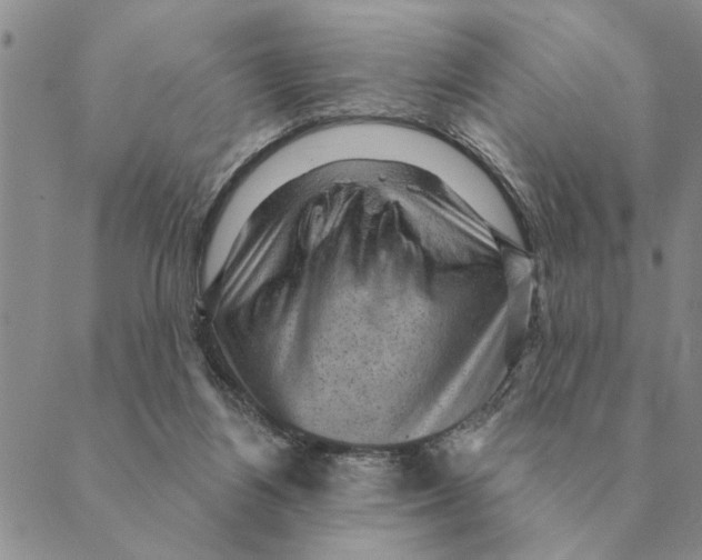 X0000088830164200707051431