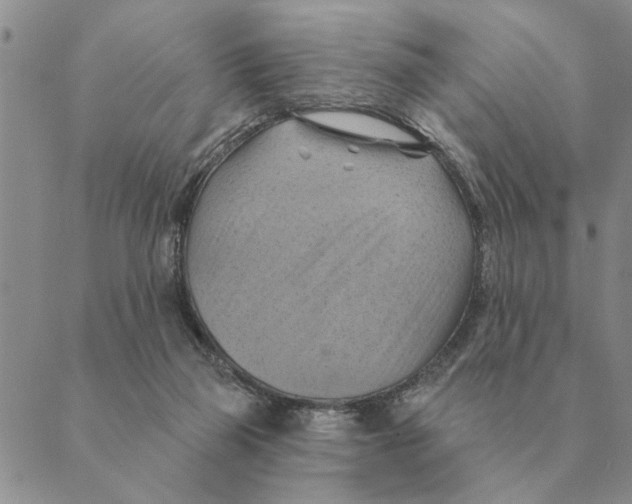 X0000088830165200707051431