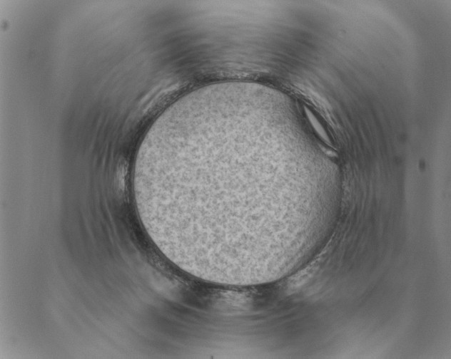 X0000088830166200707051431