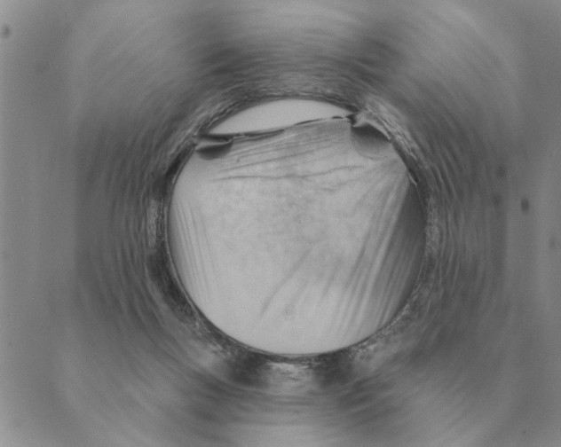 X0000088830167200707051431