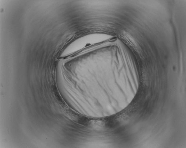 X0000088830169200707051431