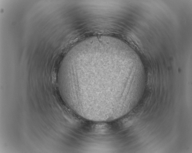 X0000088830173200707051431