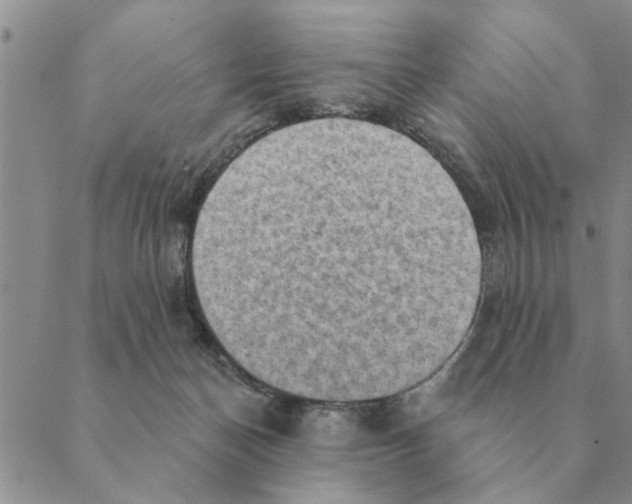 X0000088830174200707051431