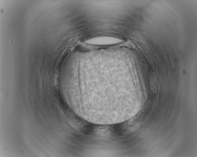 X0000088830175200707051431