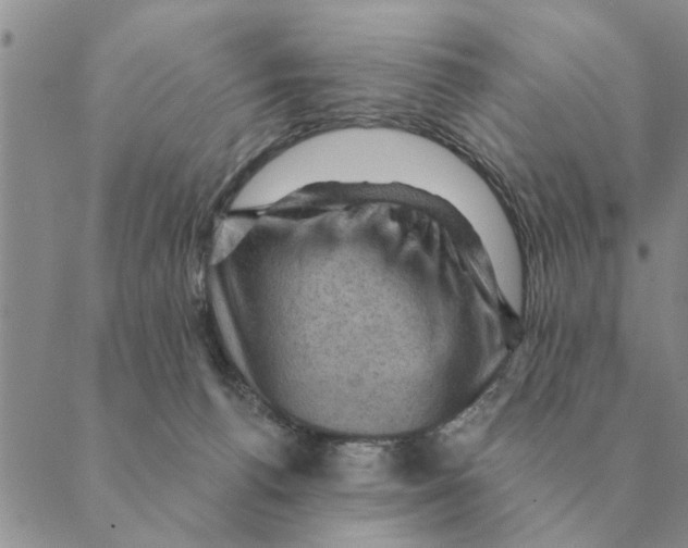 X0000088830176200707051431