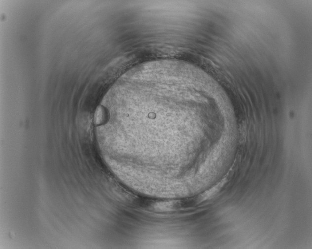 X0000088830178200707051431