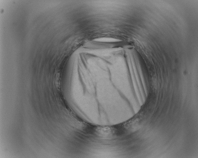 X0000088830181200707051431