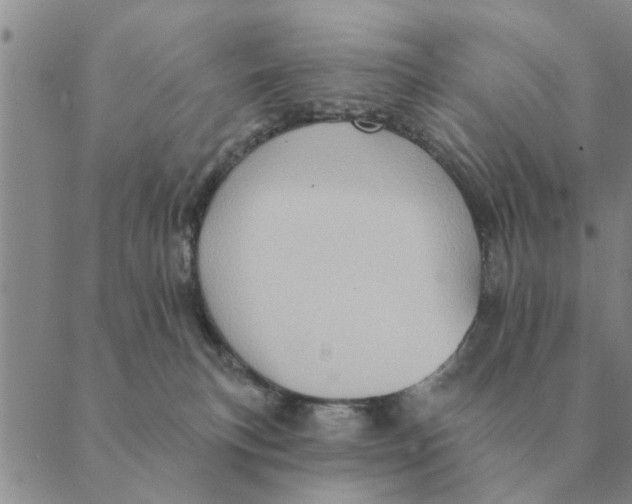 X0000088830183200707051431