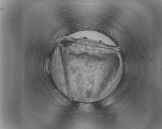 X0000088830185200707051431