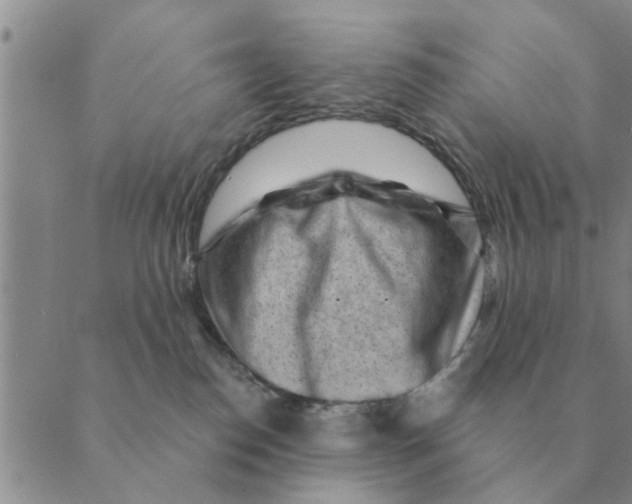 X0000088830186200707051431