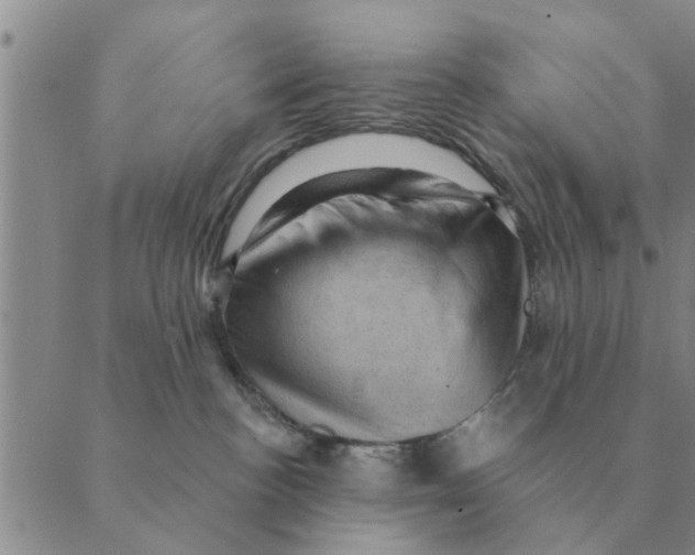 X0000088830188200707051431