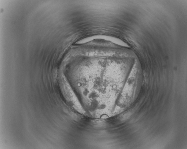 X0000088830189200707051431