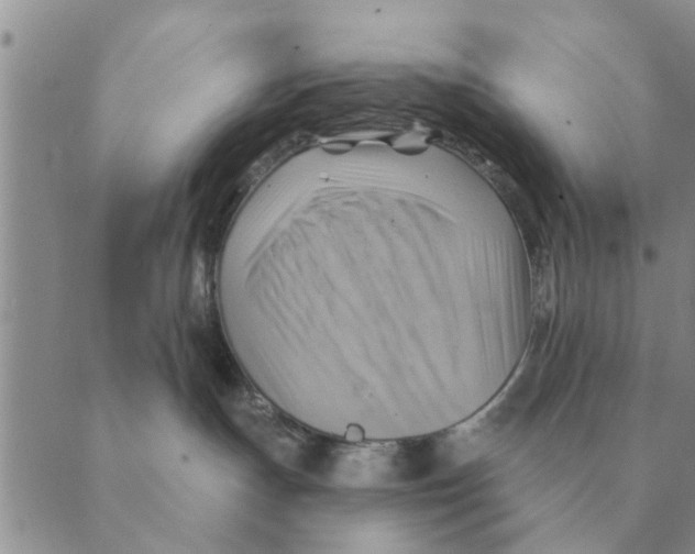 X0000088830191200707051431