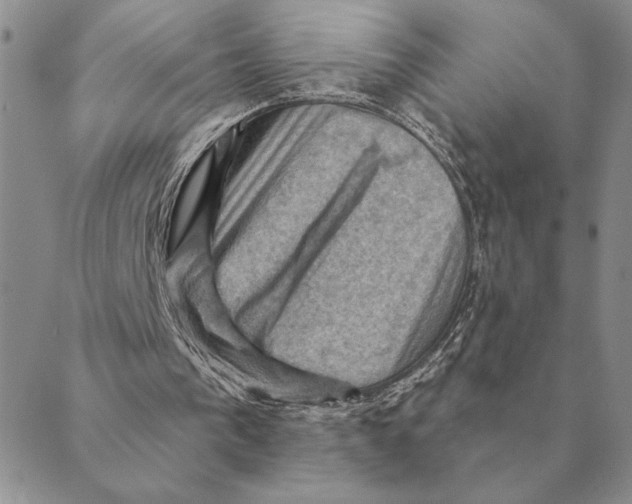 X0000088830193200707051430