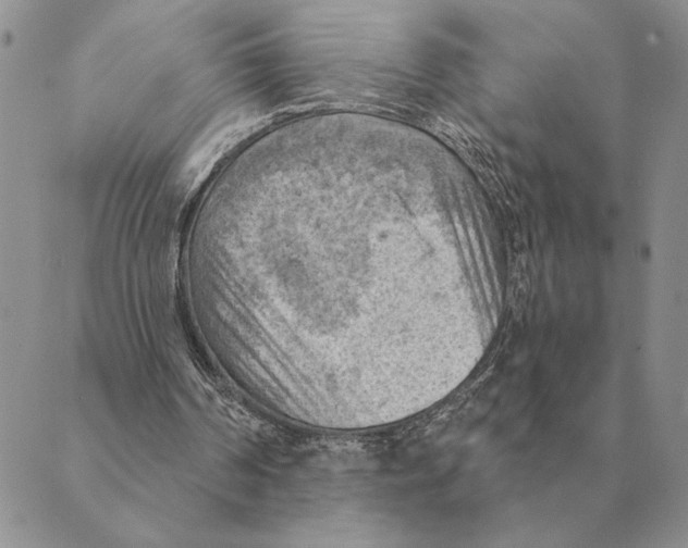 X0000088830194200707051430