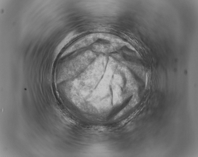 X0000088830195200707051430