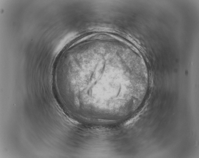 X0000088830199200707051430