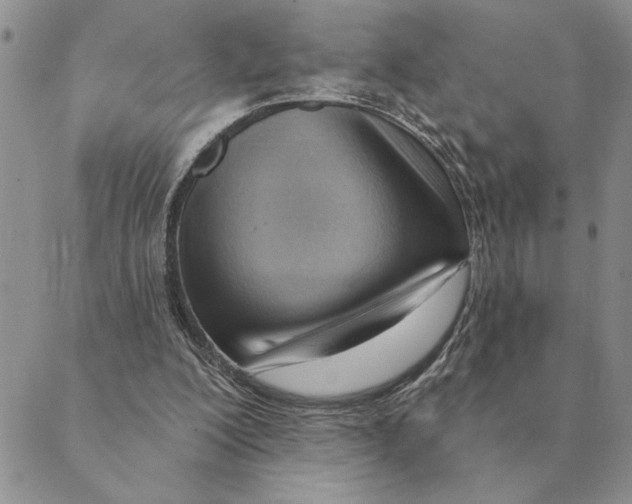 X0000088830200200707051430