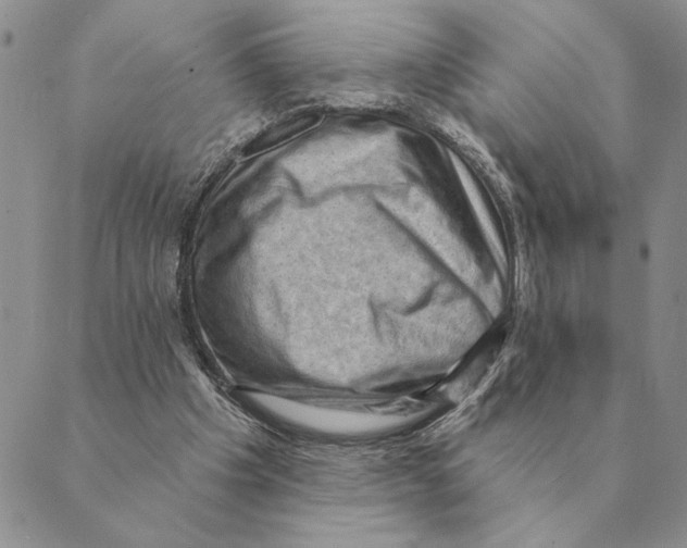 X0000088830201200707051430