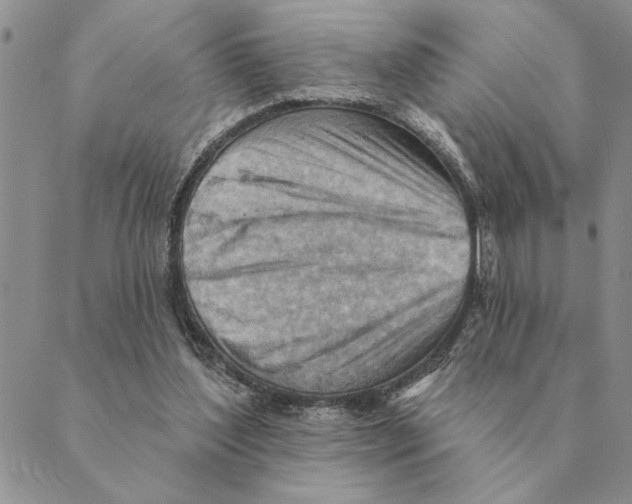 X0000088830204200707051430