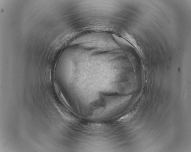 X0000088830205200707051430