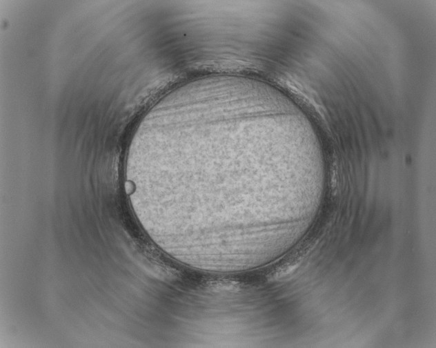 X0000088830206200707051430