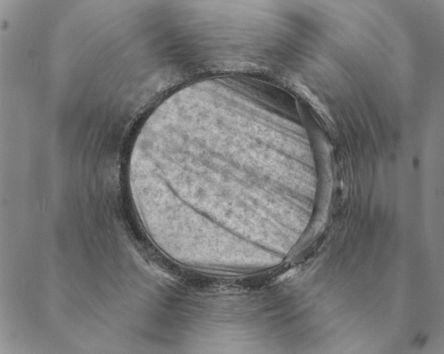 X0000088830207200707051430