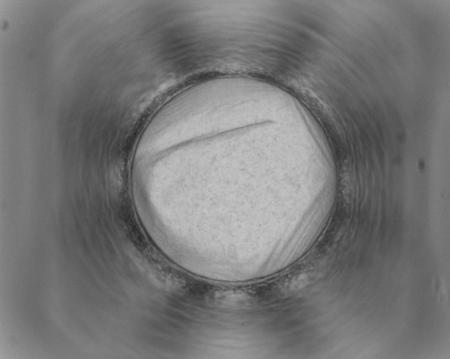 X0000088830208200707051430