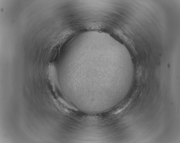 X0000088830209200707051430