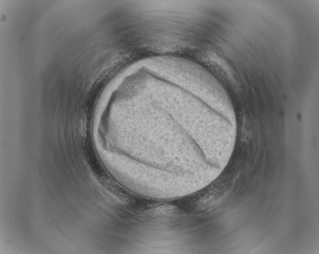 X0000088830210200707051430