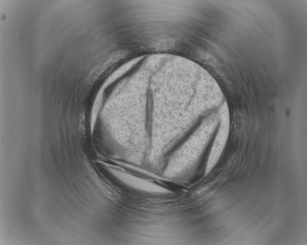 X0000088830212200707051430