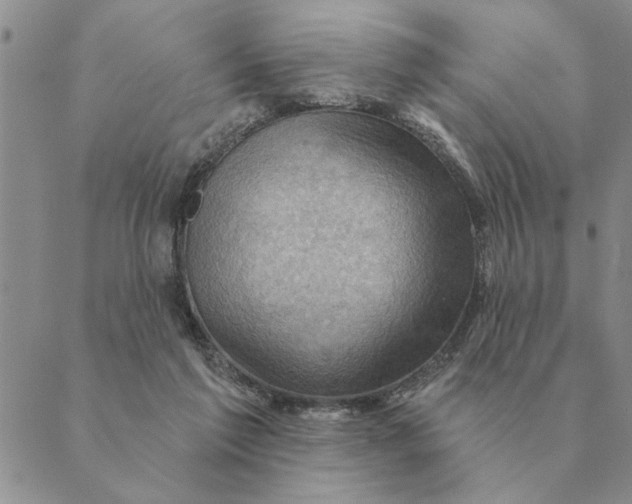 X0000088830213200707051430