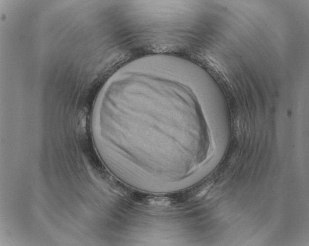 X0000088830214200707051430