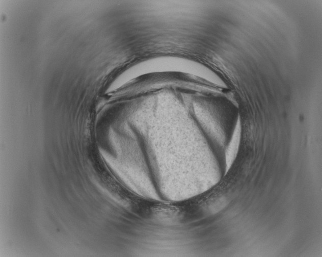 X0000088830215200707051430