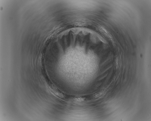 X0000088830217200707051430