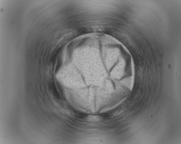 X0000088830218200707051430