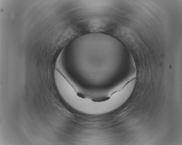 X0000088830219200707051430