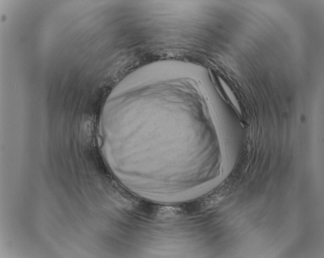 X0000088830222200707051430