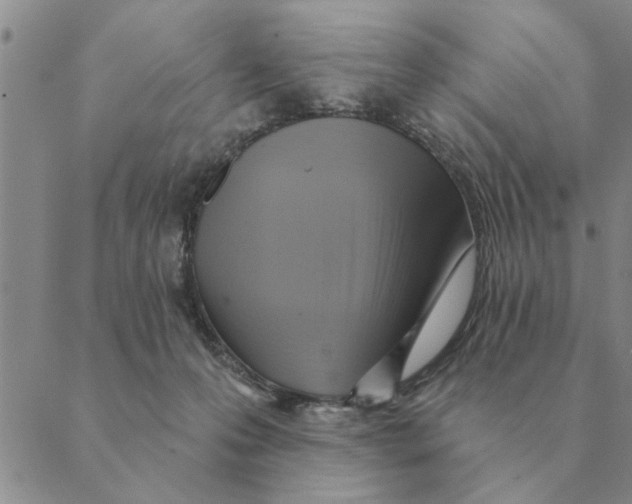 X0000088830223200707051430