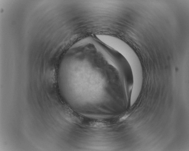 X0000088830224200707051430