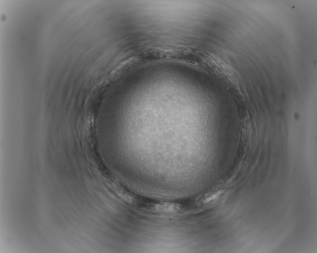 X0000088830225200707051430