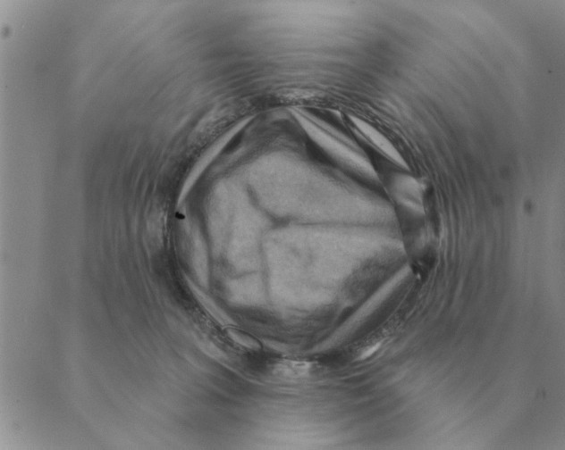 X0000088830227200707051430