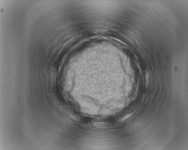 X0000088830228200707051430