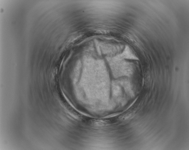 X0000088830229200707051430