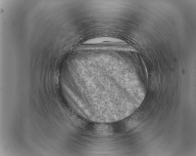 X0000088830230200707051430