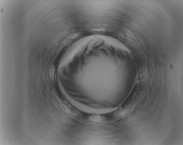 X0000088830231200707051430