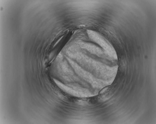 X0000088830232200707051430